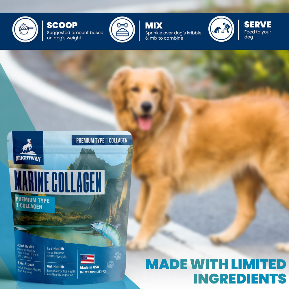 Brightway Pets Wild Caught Marine Collagen gut health visual for dogs.