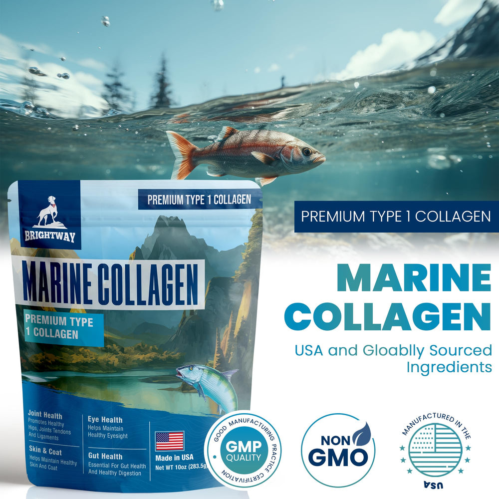Brightway Pets Wild Caught Marine Collagen dog coat shine closeup.