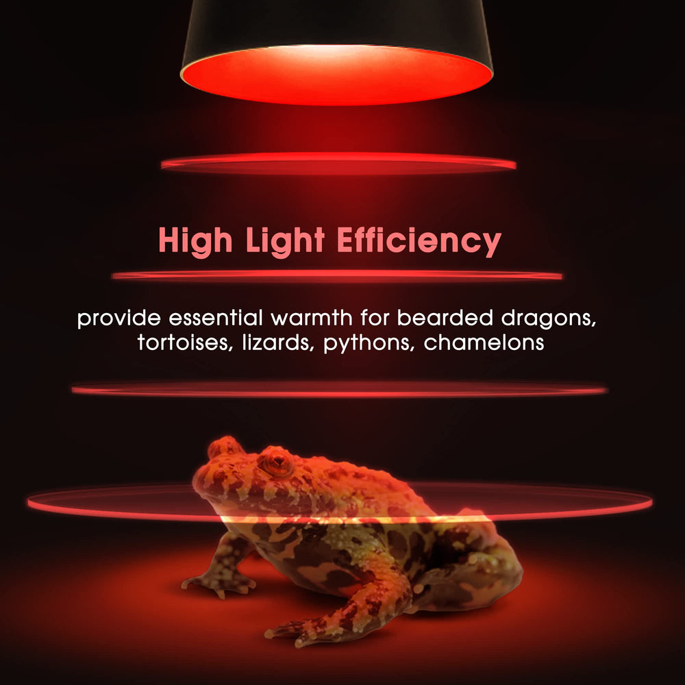 Briignite bearded dragon terrarium setup shows a reliable heat source.
