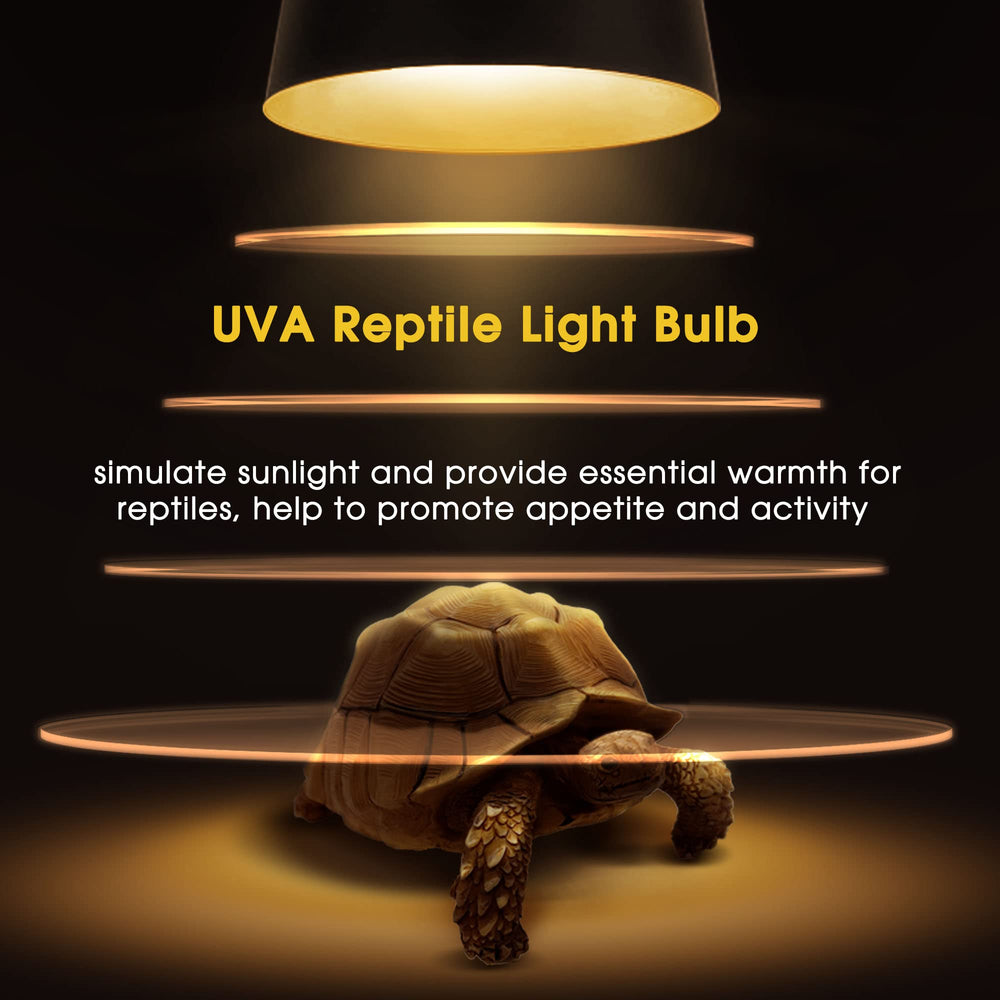 Briignite E26 base compatibility ensures easy installation in standard fixtures.