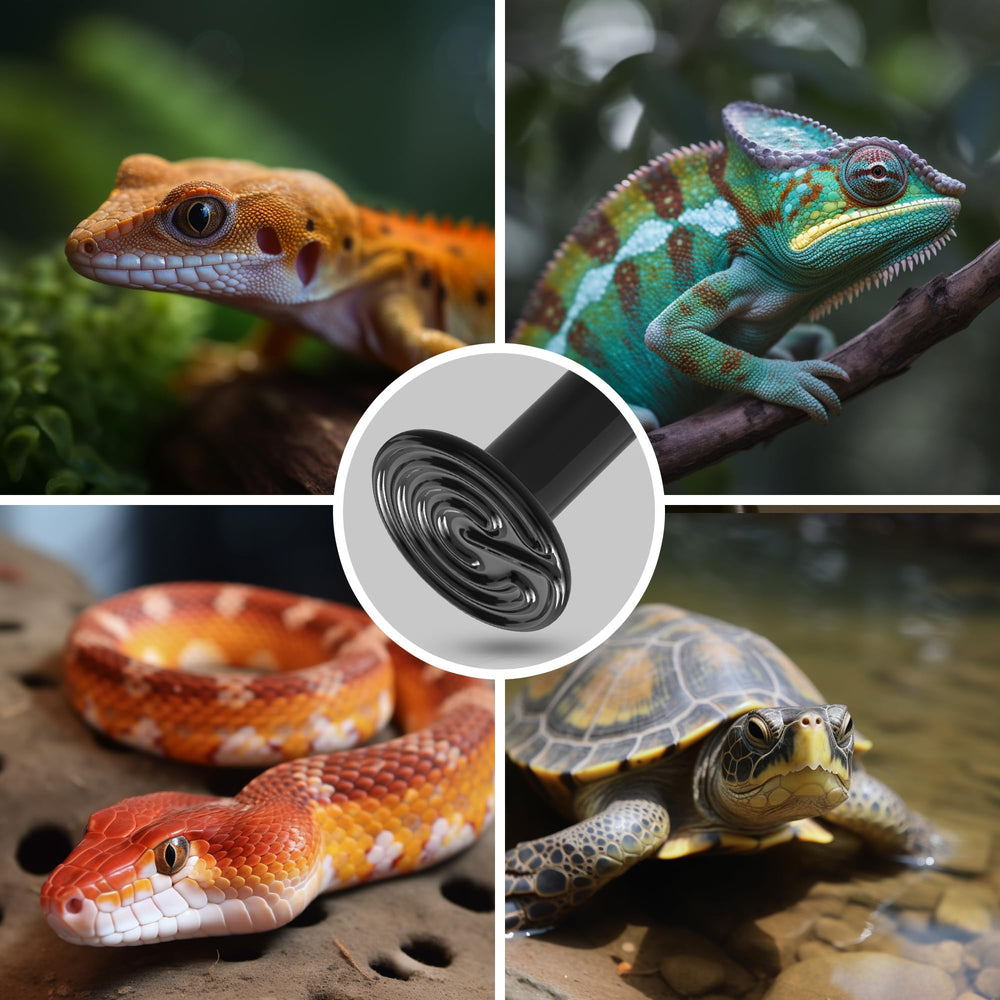 Briignite easy install terrarium heating for quick setup and reliable warmth
