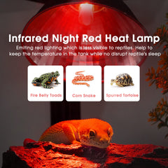 Briignite G9 dimmable heat bulb demonstrates adjustable brightness for precise basking.