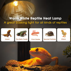 Briignite G9 halogen heat bulb delivers steady warmth for reptiles.