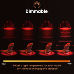 Briignite G9 mini heat bulb suited for small tanks and tight terrariums.