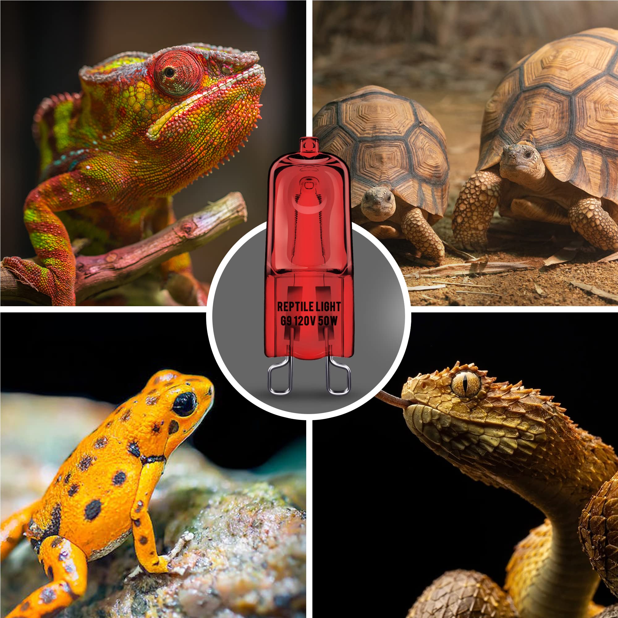 Briignite reptile heat bulbs pack offers value and ready to use warmth.