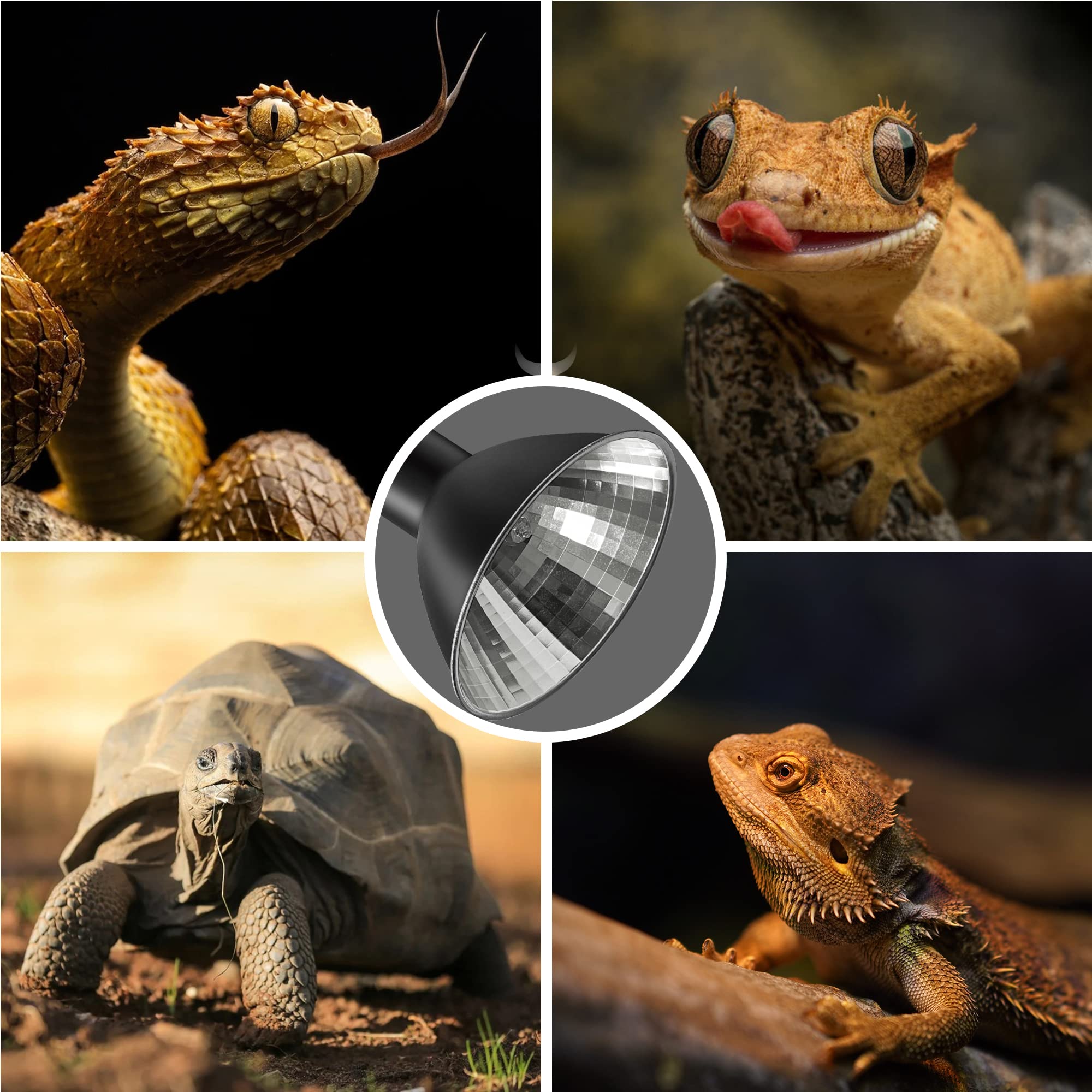 Briignite reptile lamp kit includes four bulbs and two aluminum fixtures.