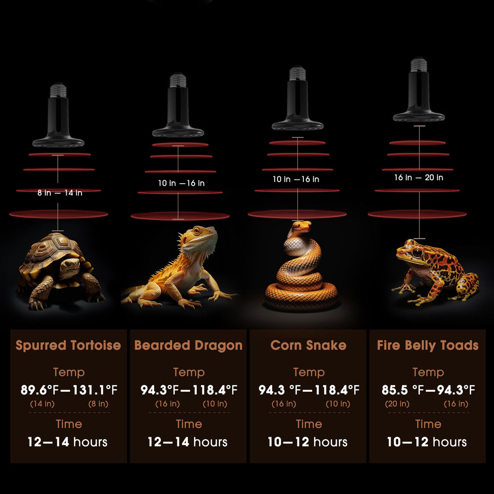 Briignite two pack ceramic heat emitter keeps spare or multi habitat ready