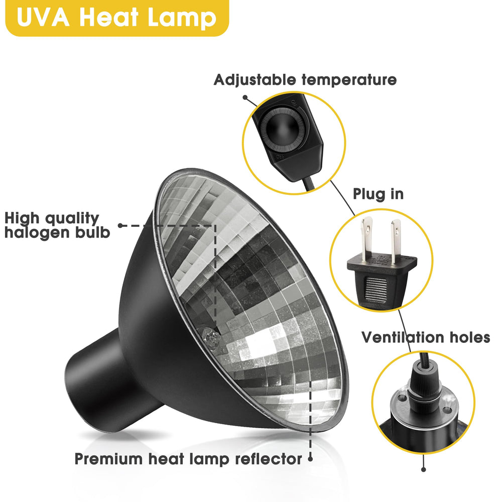 Briignite UVA basking light coverage across terrarium
