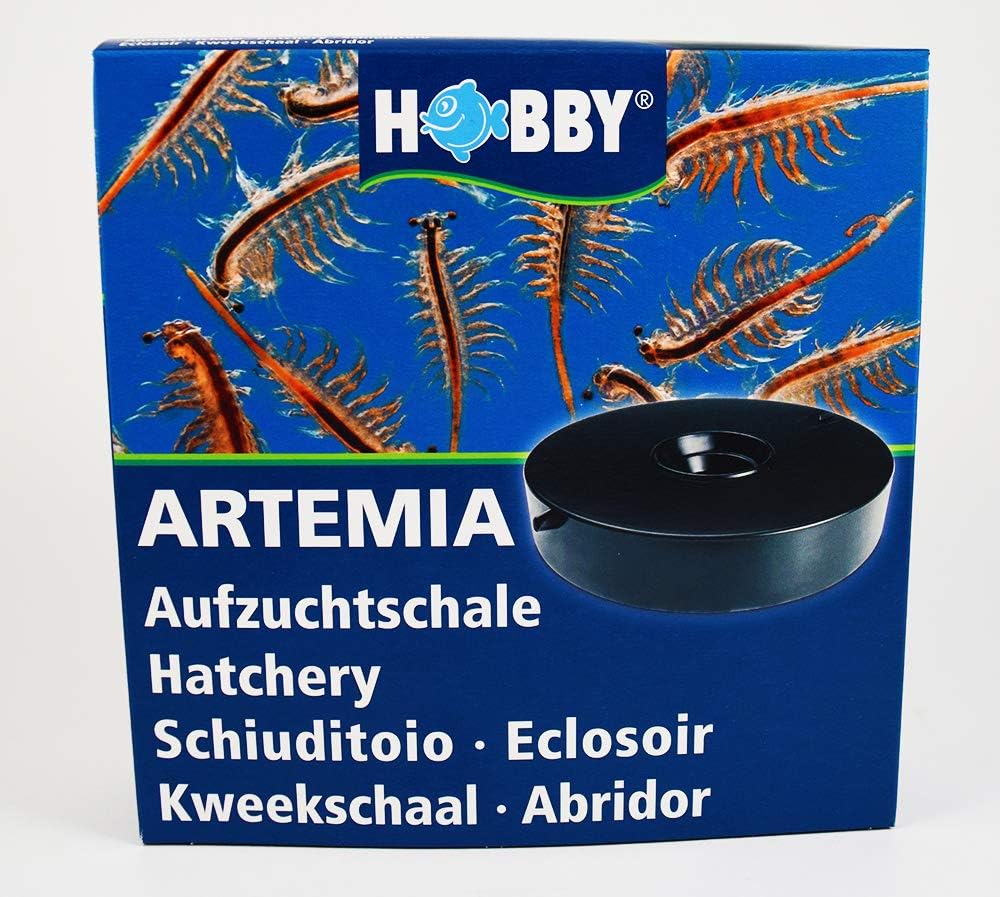 Brine Shrimp Direct hatchery dish setup-kit image conveys ready-to-use, mess-minimizing design.