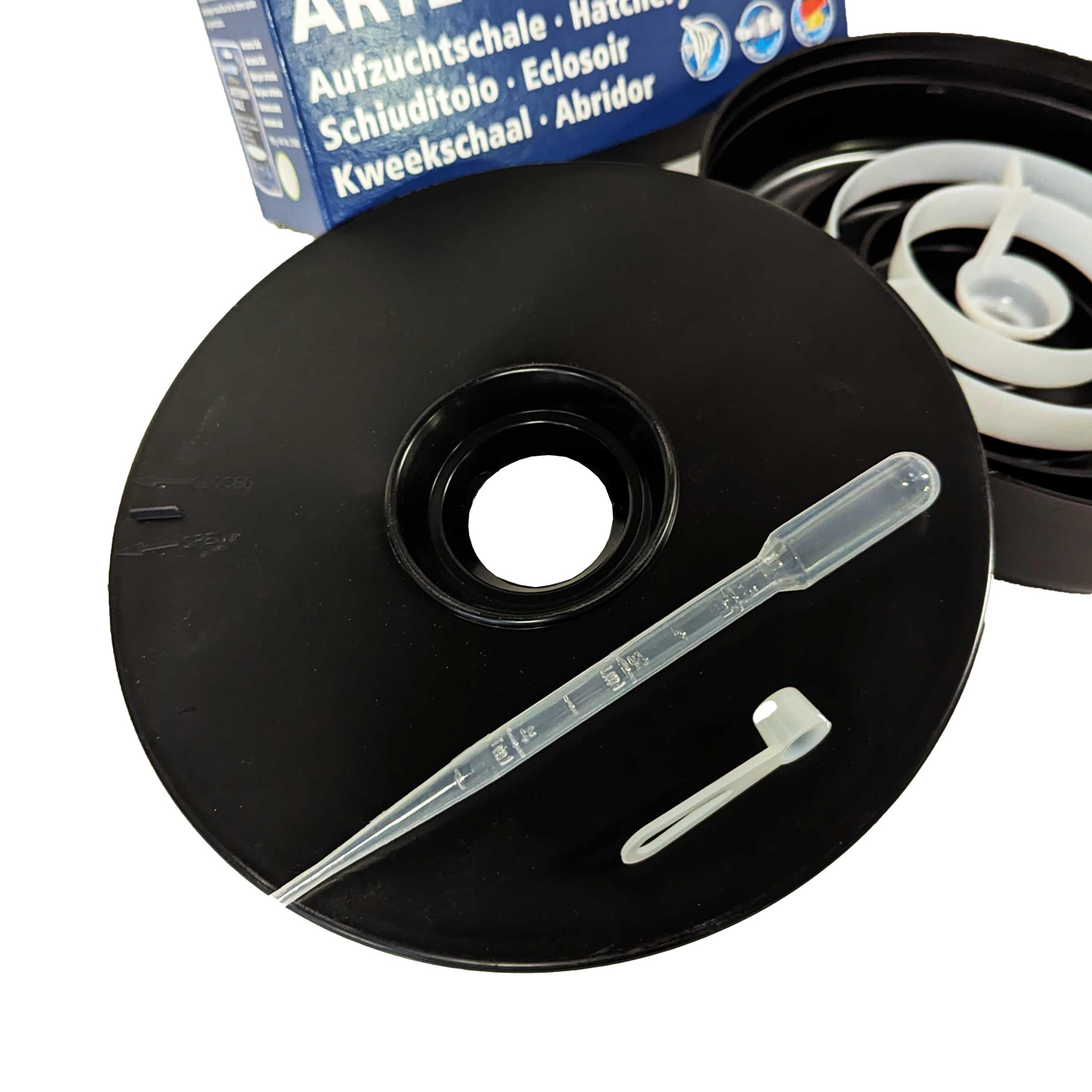 Brine Shrimp Direct hatchery dish video-guide preview highlights step-by-step hatching tips.