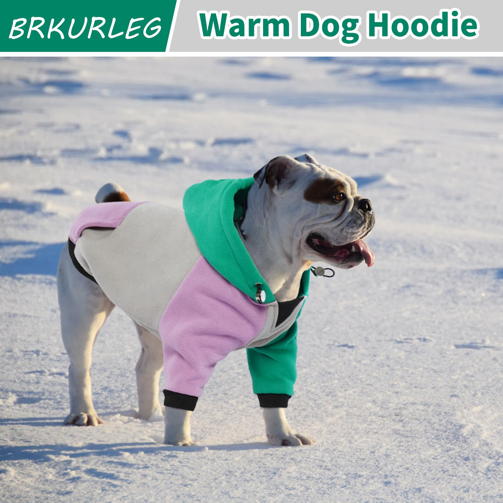 BRKURLEG Dog Hoodie outdoor-walk scene showcases winter warmth.
