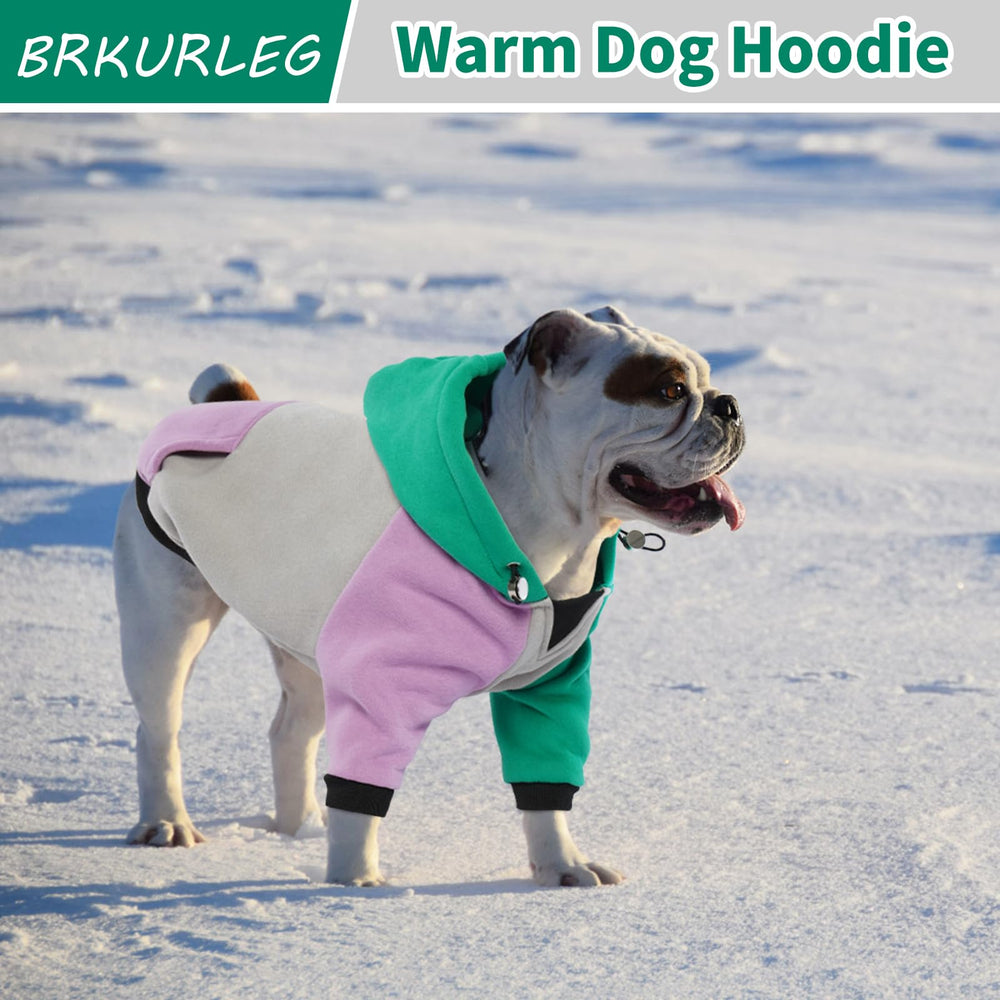 BRKURLEG Dog Hoodie outdoor-walk scene showcases winter warmth.