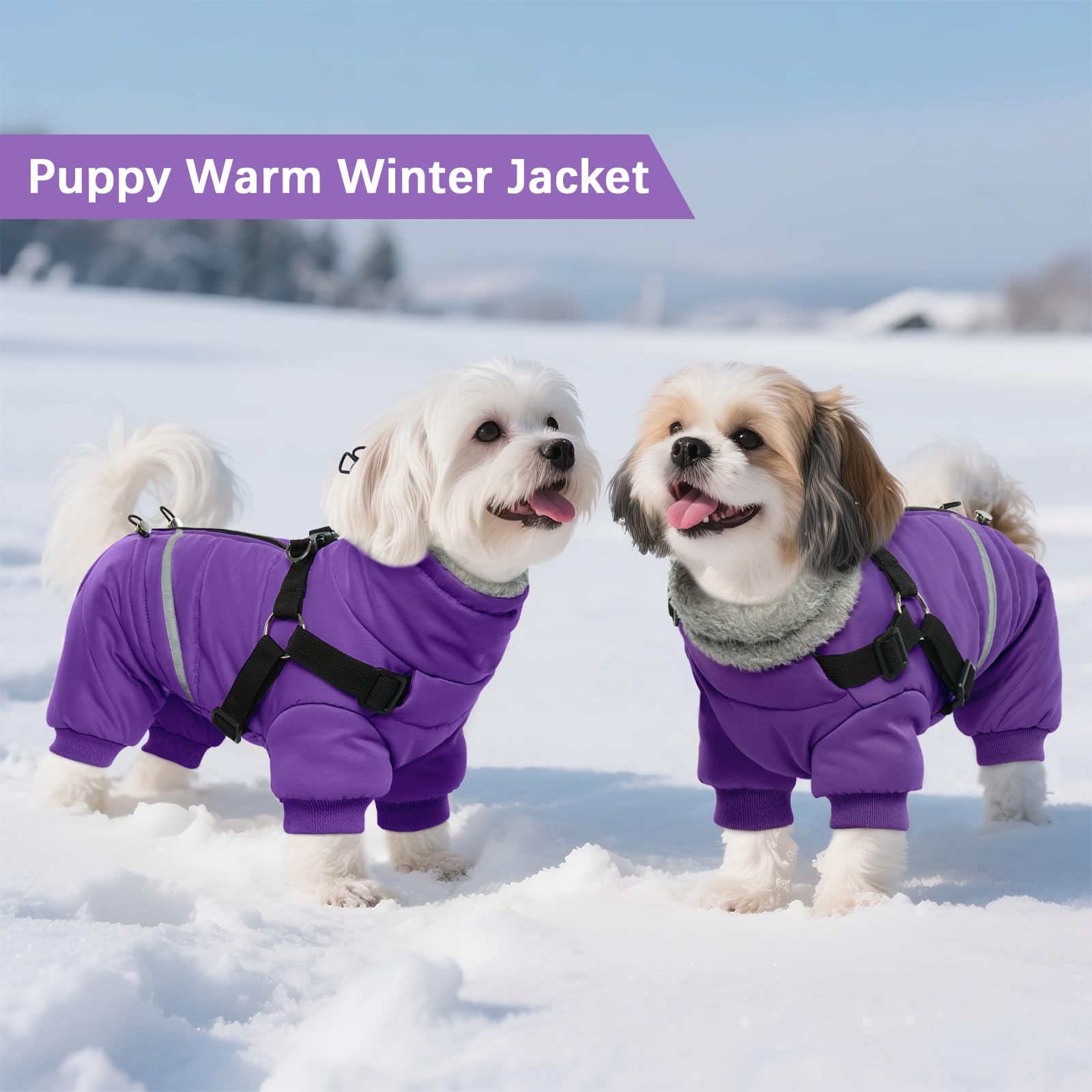 BRKURLEG Purple Dog Coat adjustable-buckles fit small dogs for secure wear.