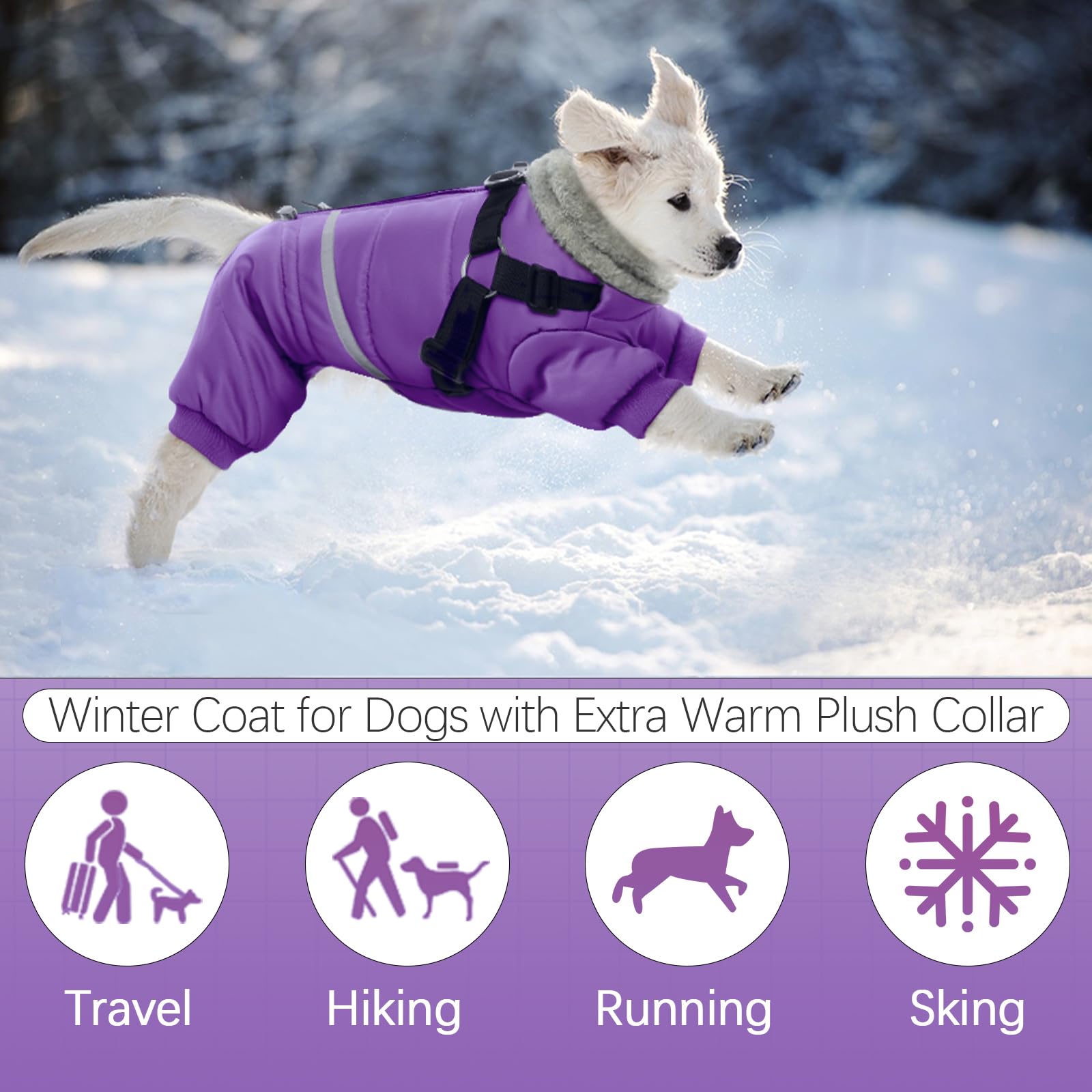 BRKURLEG Purple Dog Coat back-zipper-easy-on-off enables quick dressing.