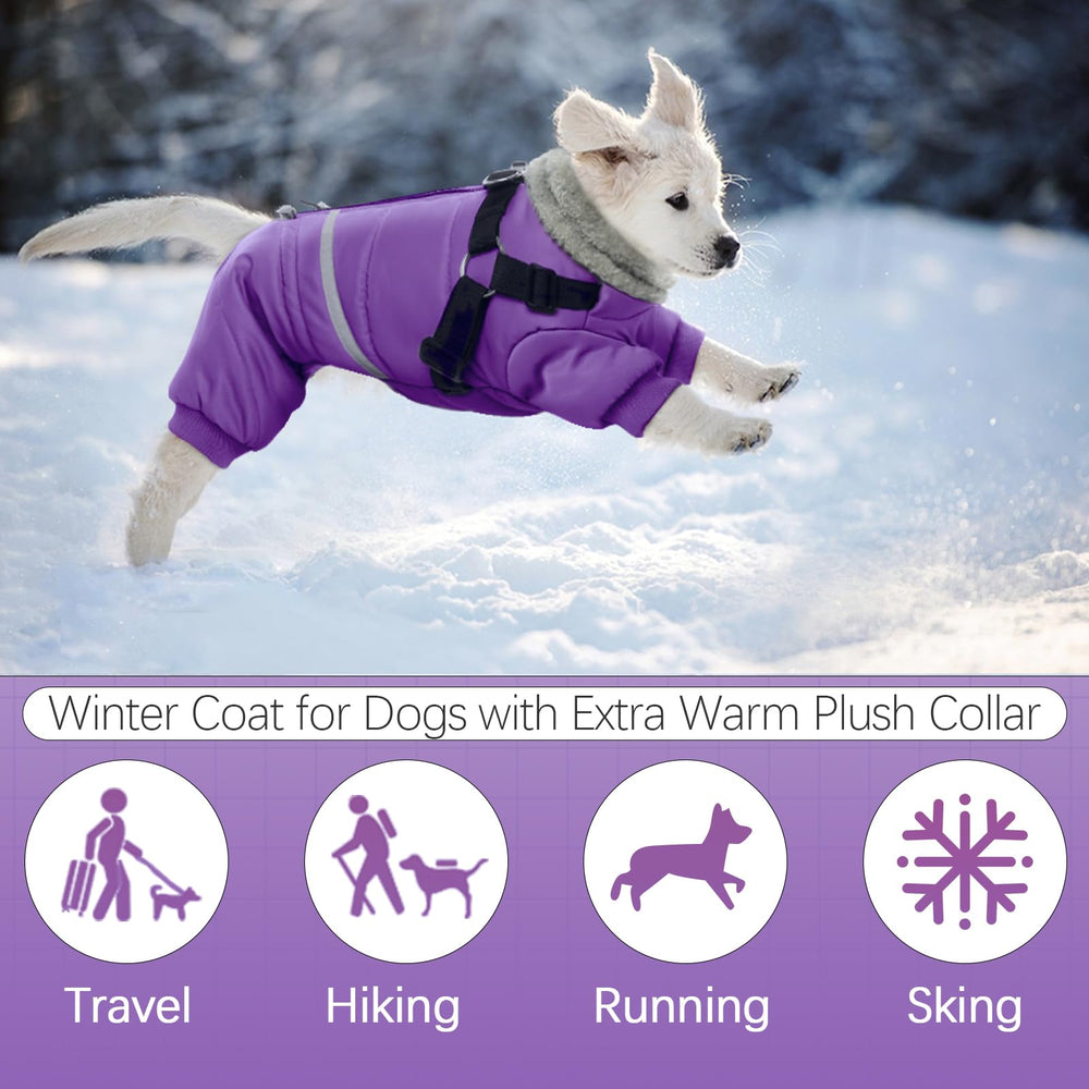 BRKURLEG Purple Dog Coat back-zipper-easy-on-off enables quick dressing.