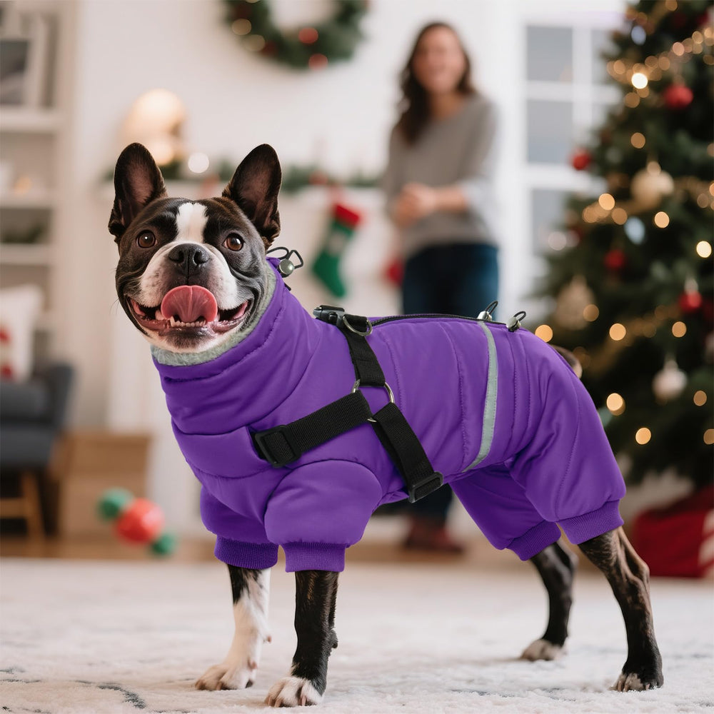 BRKURLEG Purple Dog Coat size-chart helps select the right fit for small-to-medium dogs.
