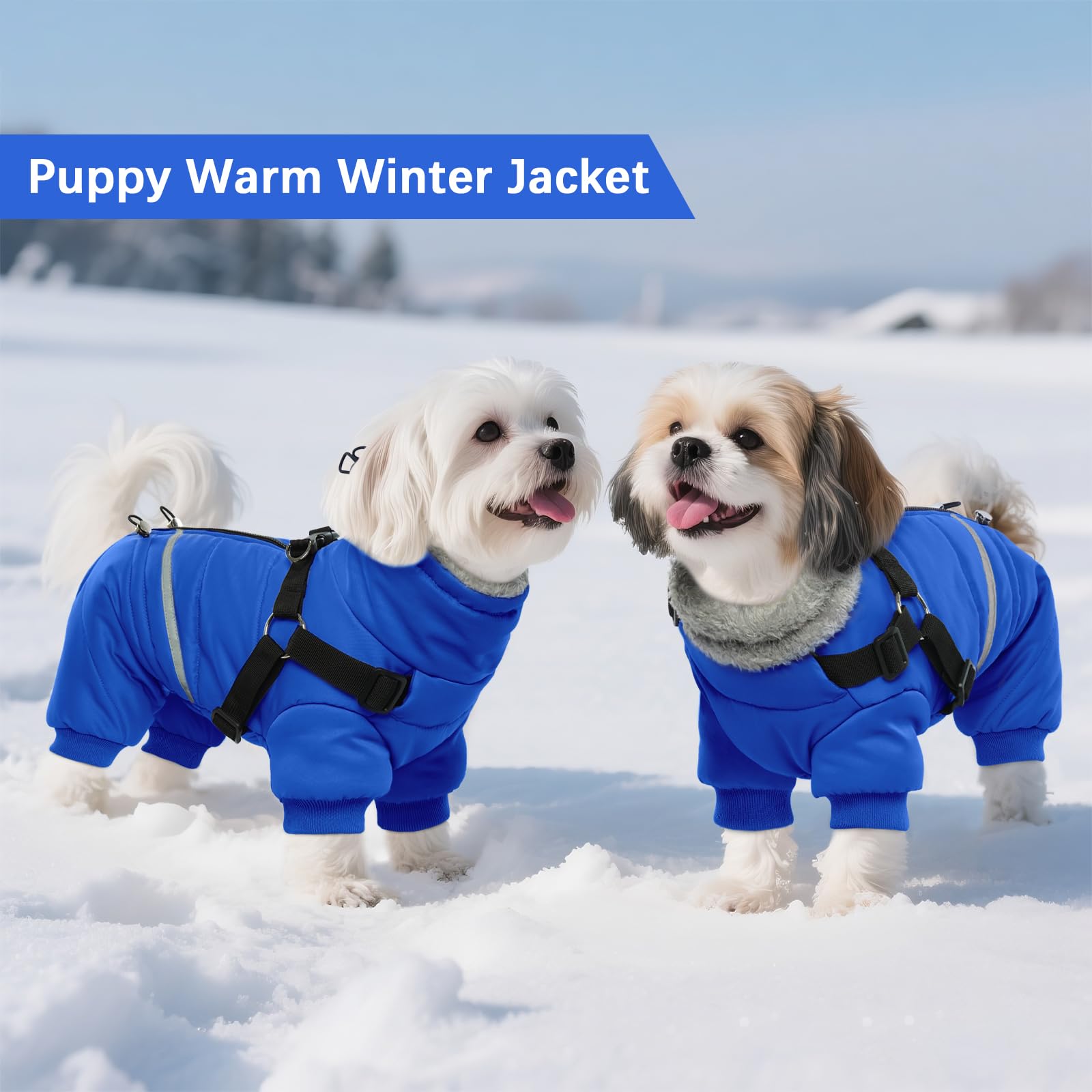 BRKURLEG blue dog winter coat back-zipper for easy on-off