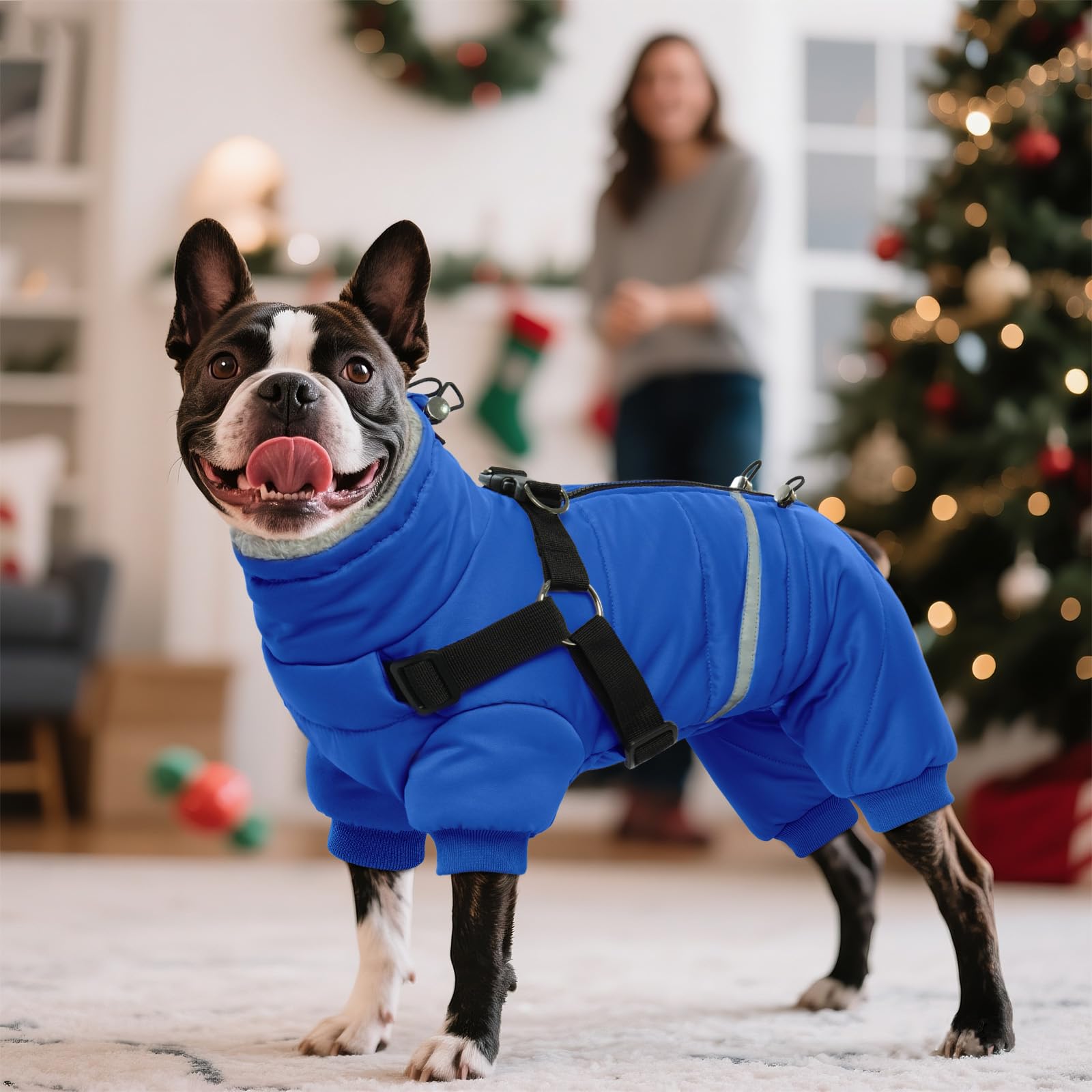 BRKURLEG blue dog winter coat size-chart-fit suitable for small breeds