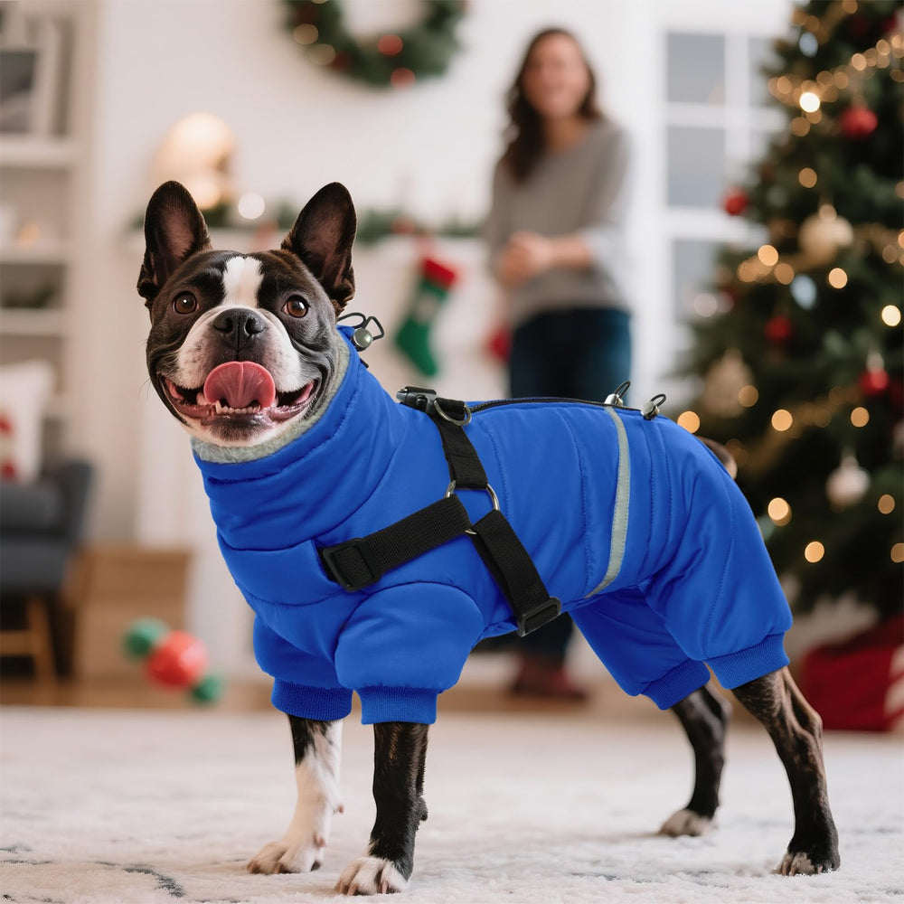 BRKURLEG blue dog winter coat size-chart-fit suitable for small breeds