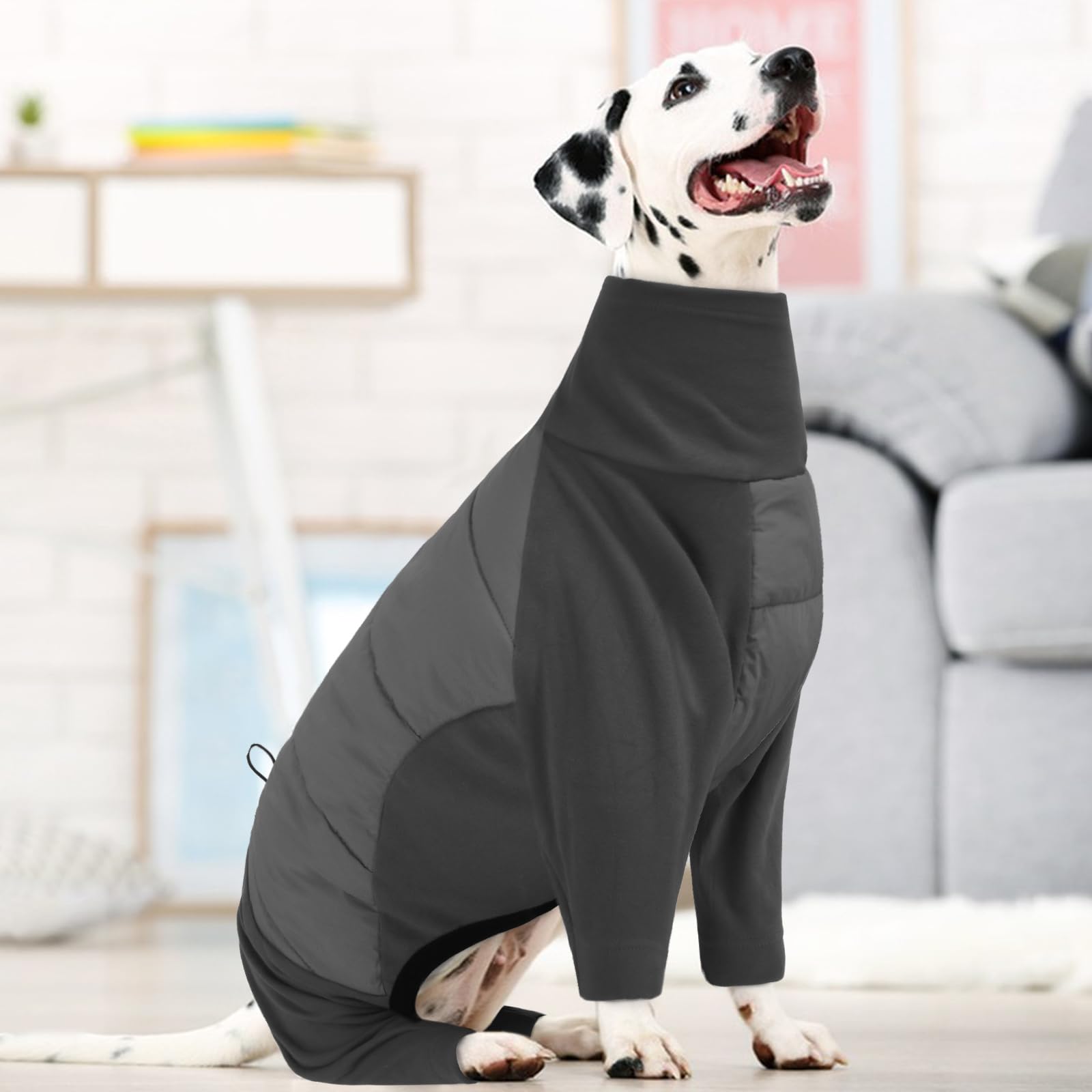 BRKURLEG size range XS to 3XL fits many dogs