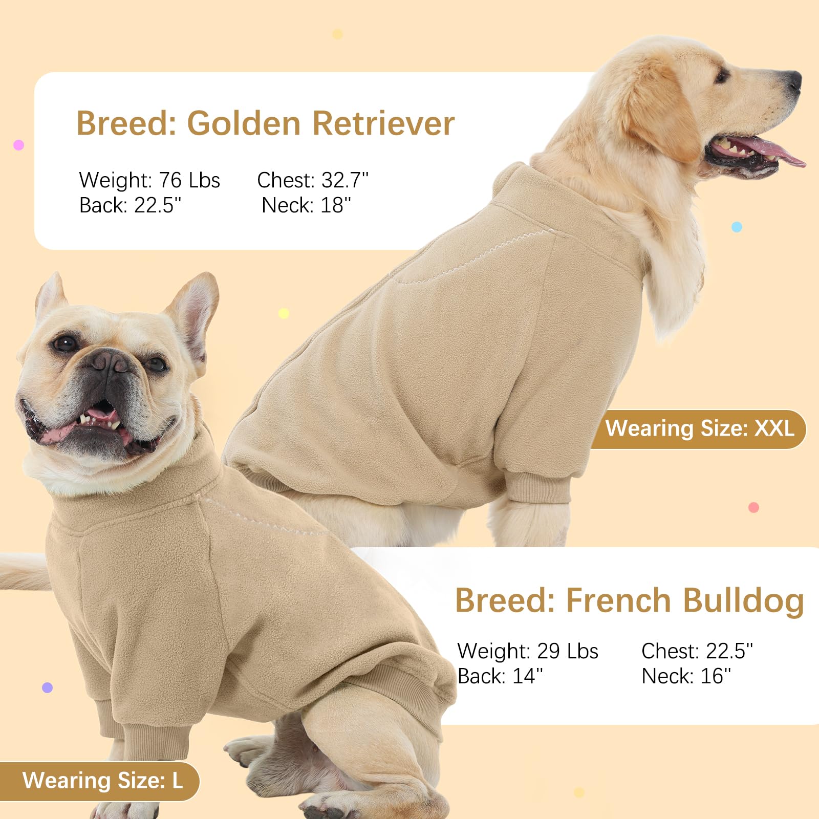 BRKURLEG dog wearing sweater in winter indoor-outdoor setting for daily comfort.