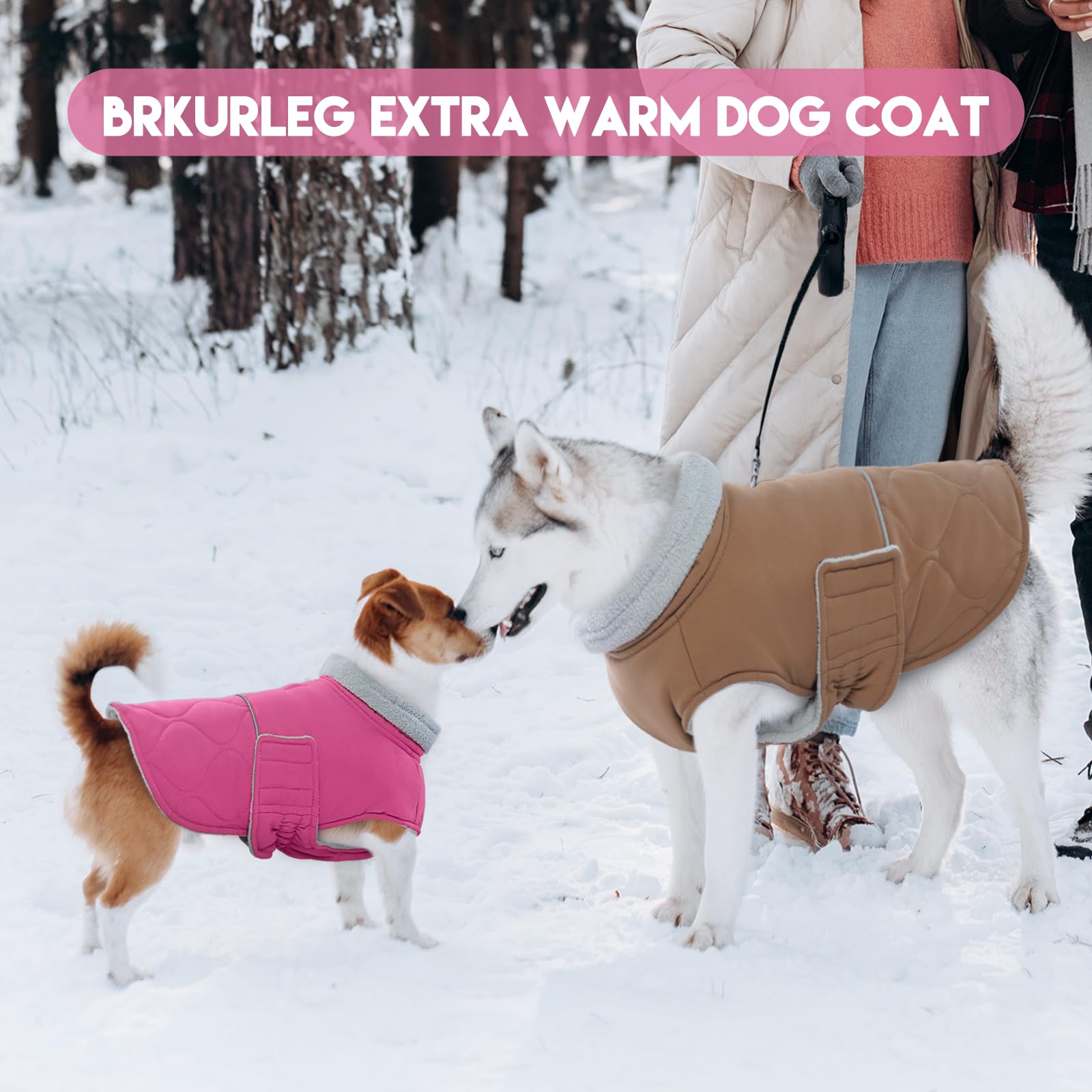 BRKURLEG coat comes in multiple sizes for most breeds and body types.