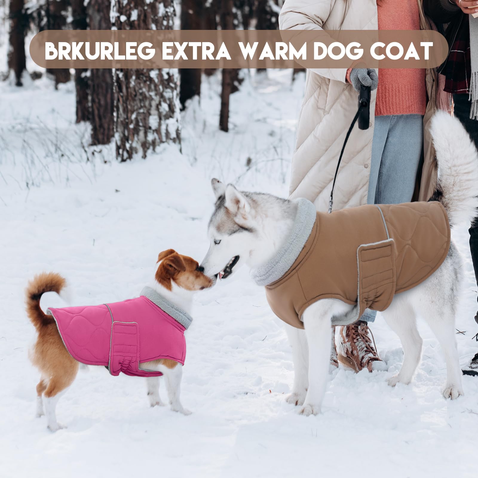 BRKURLEG dog winter coat ideal for outdoor adventures in cold weather