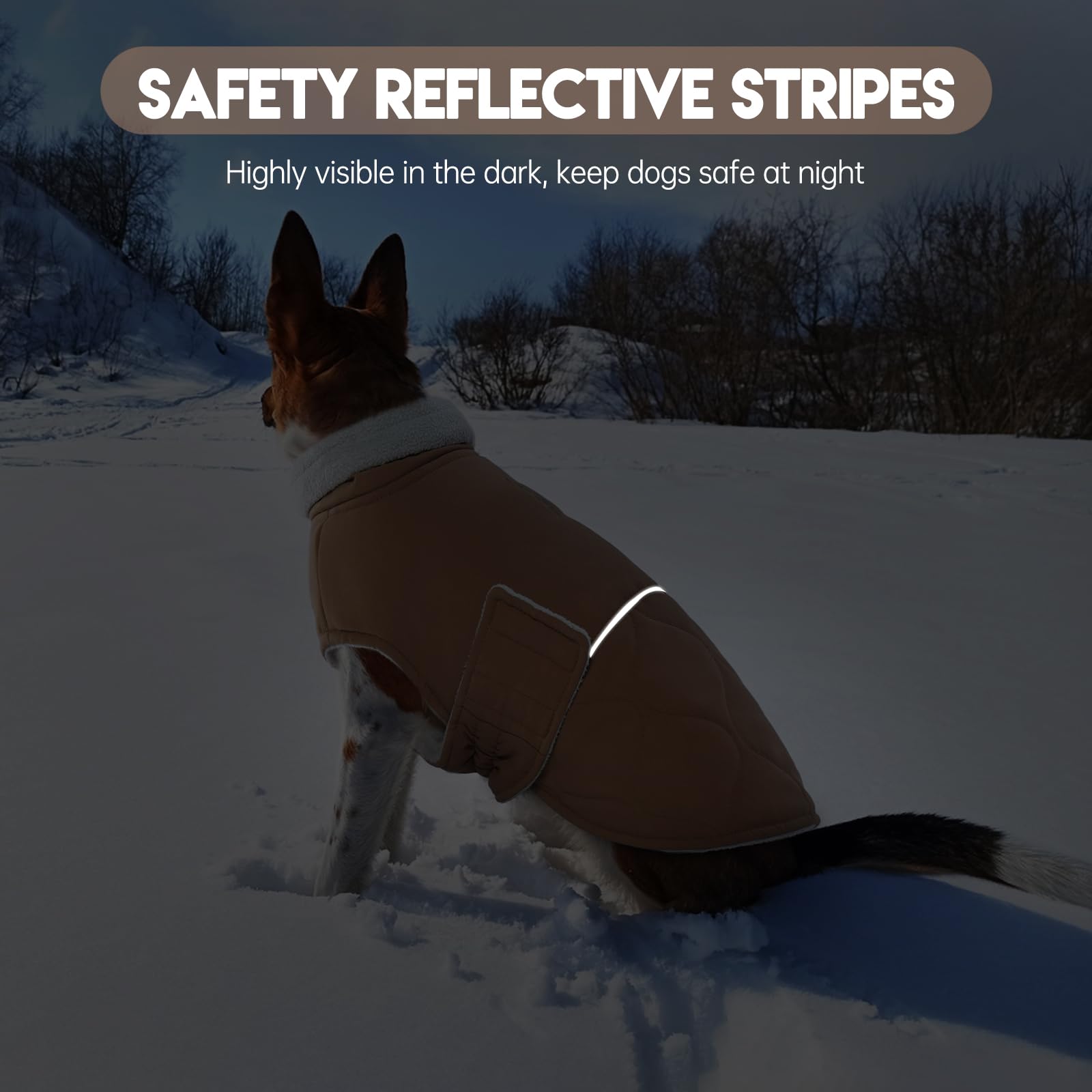 BRKURLEG dog winter coat waterproof fabric protects against wind and snow