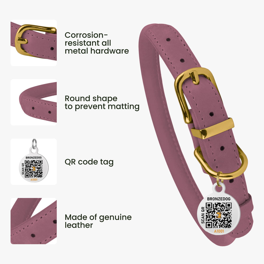 BronzeDog adjustable rolled leather collar for a comfortable fit across breeds