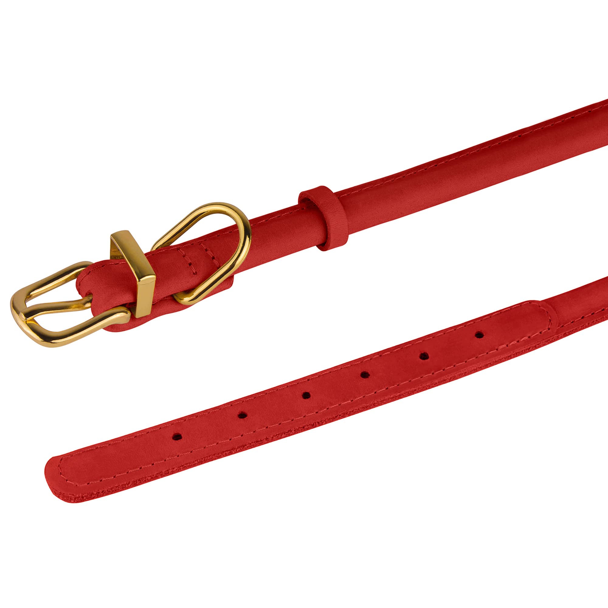 BronzeDog rolled leather collar plum turquoise color stands out during park play.