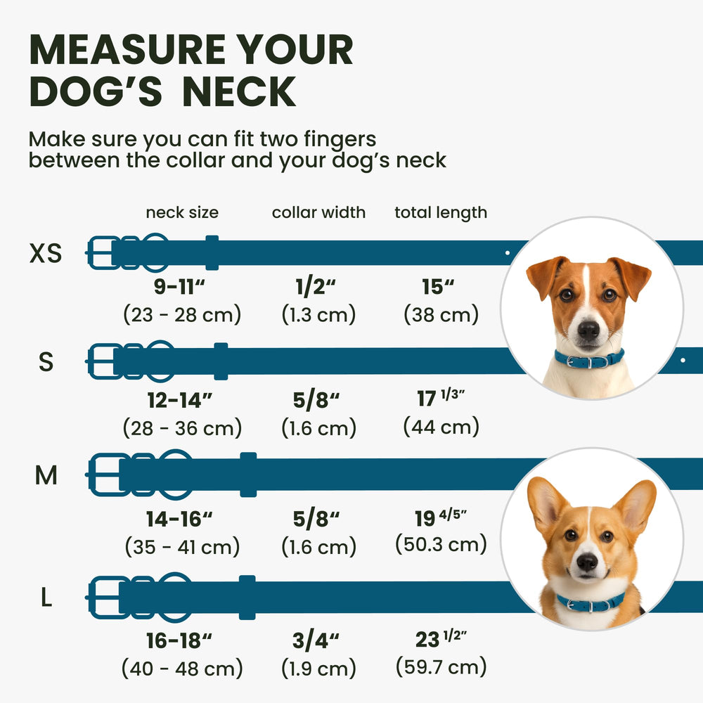 BRONZEDOG collar with QR ID tag offers quick information access during walks