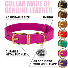 Close-up of genuine leather texture and metal hardware on a BRONZEDOG collar