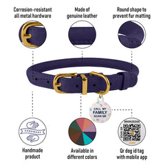 BronzeDog QR ID tag collar shows quick identification in everyday use.