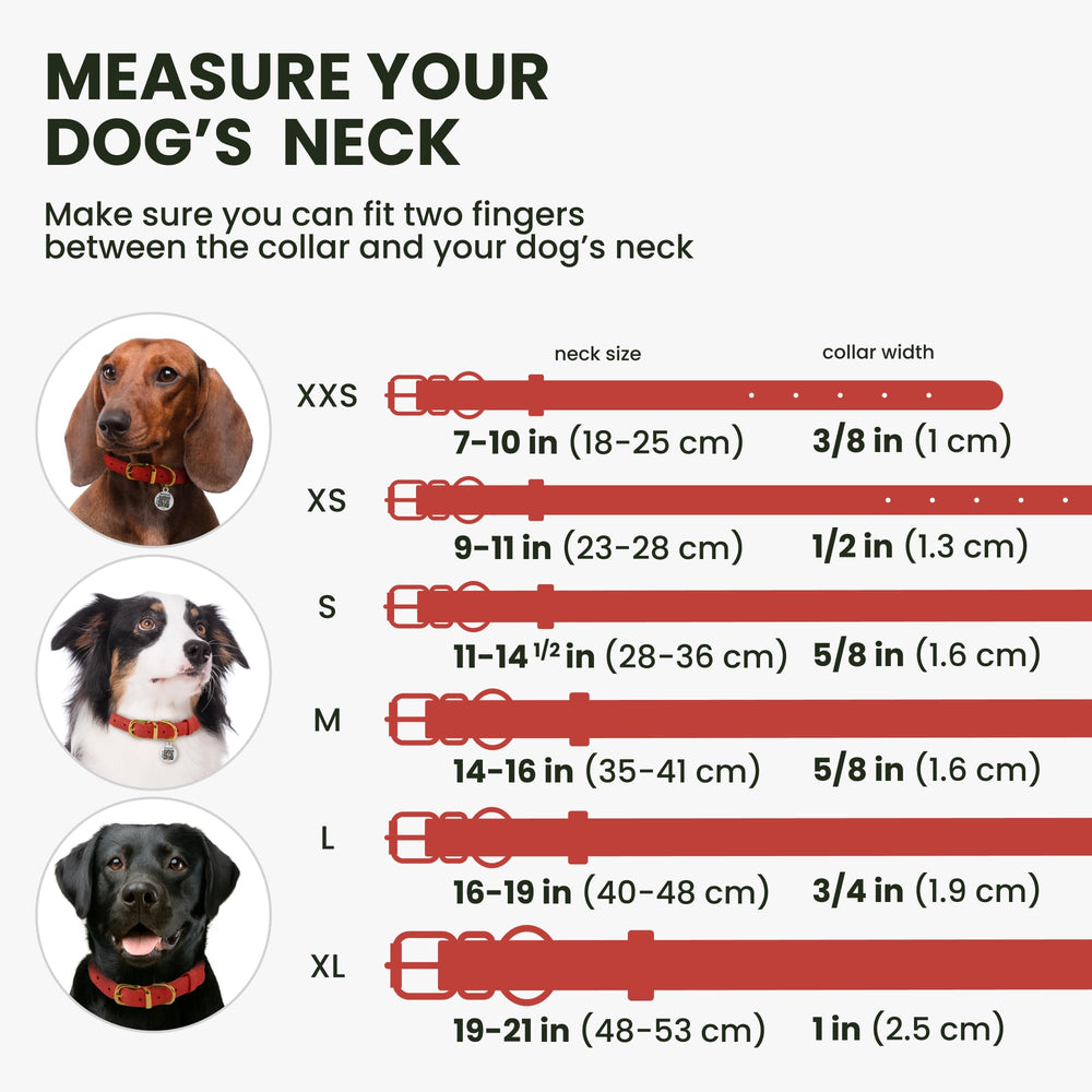 BronzeDog rolled leather collar side view highlighting its rounded shape for comfortable wear.