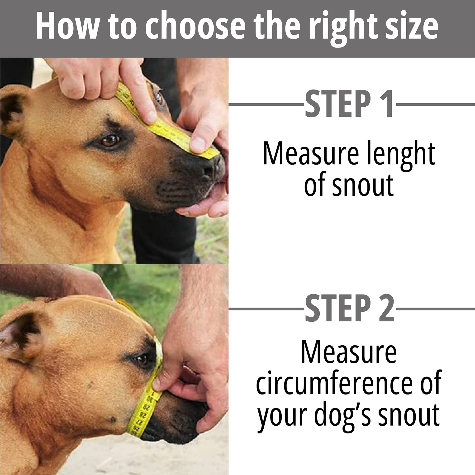 BRONZEDOG adjustable leather straps ensure secure fit for different snout shapes.