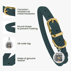BronzeDog adjustable rolled collar on a dog neck for comfortable wear.