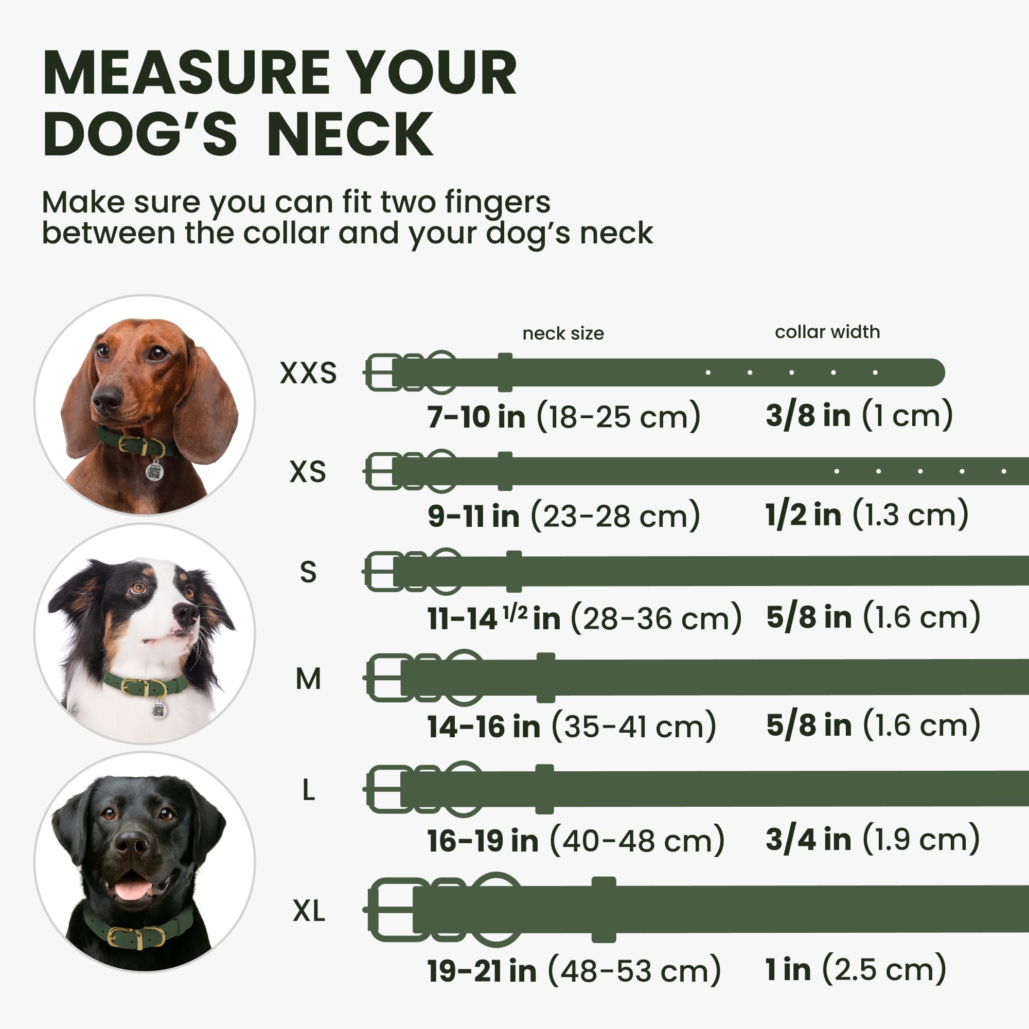 BRONZEDOG ajuste ergonómico para un ajuste cómodo y seguro en cualquier perro.