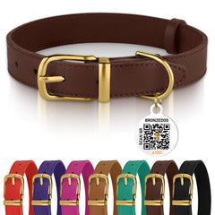 BRONZEDOG collar de cuero con hebilla dorada, muestra durabilidad y estilo.
