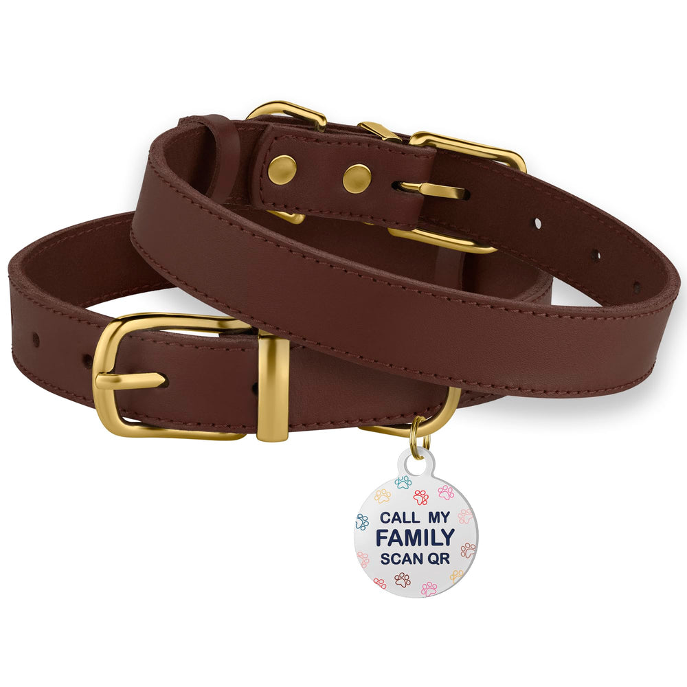 BRONZEDOG collar de cuero, uso diario para perros activos.