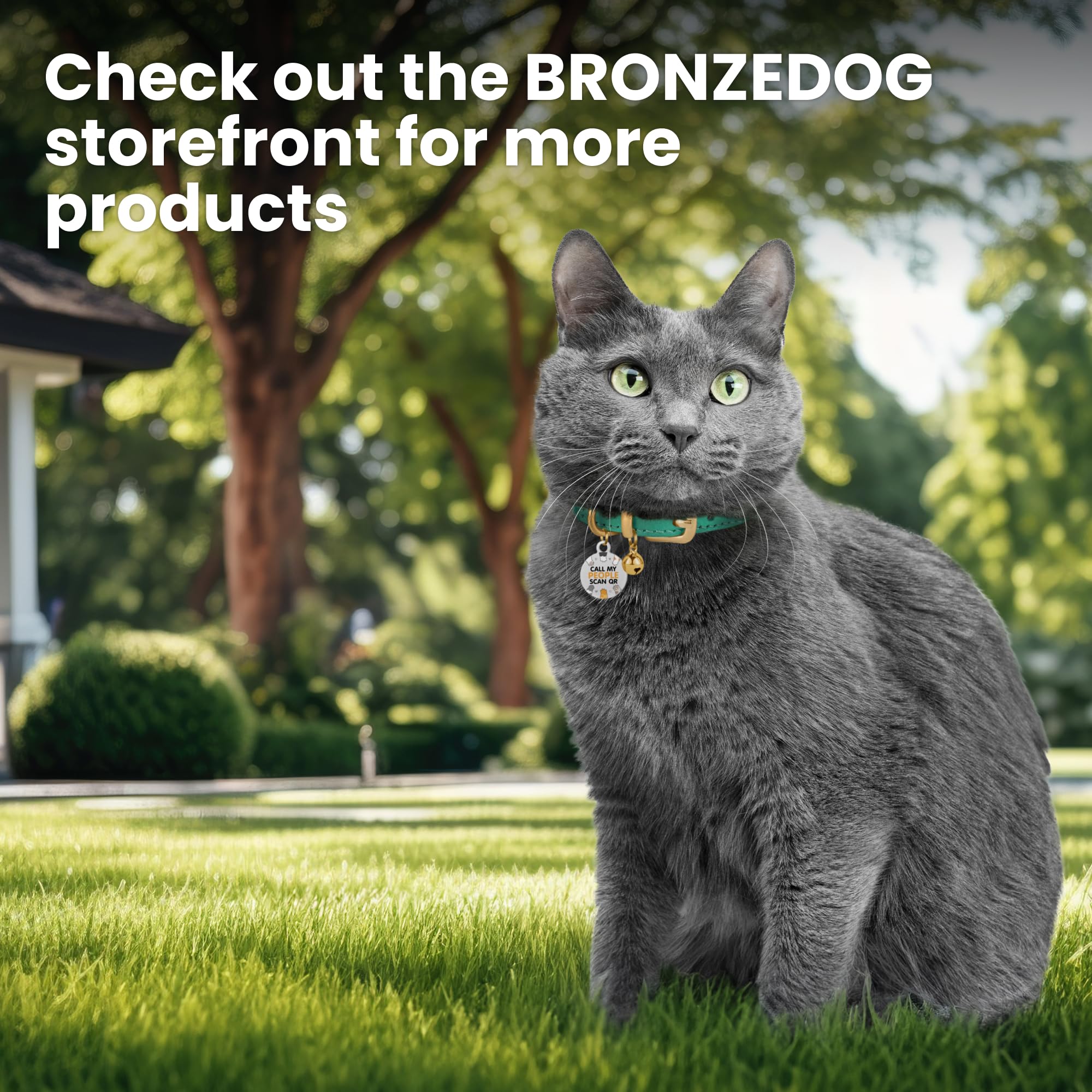BRONZEDOG collar de cuero para tamaño pequeño, ideal para gatitos.