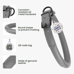 BRONZEDOG collar close-up highlights durable black hardware for outdoor adventures.