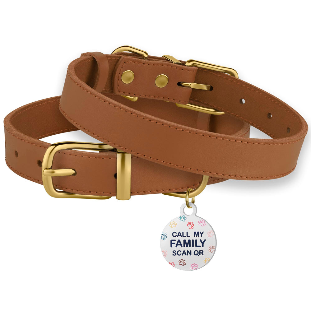 BRONZEDOG collar on dog demonstrates comfortable daily wear