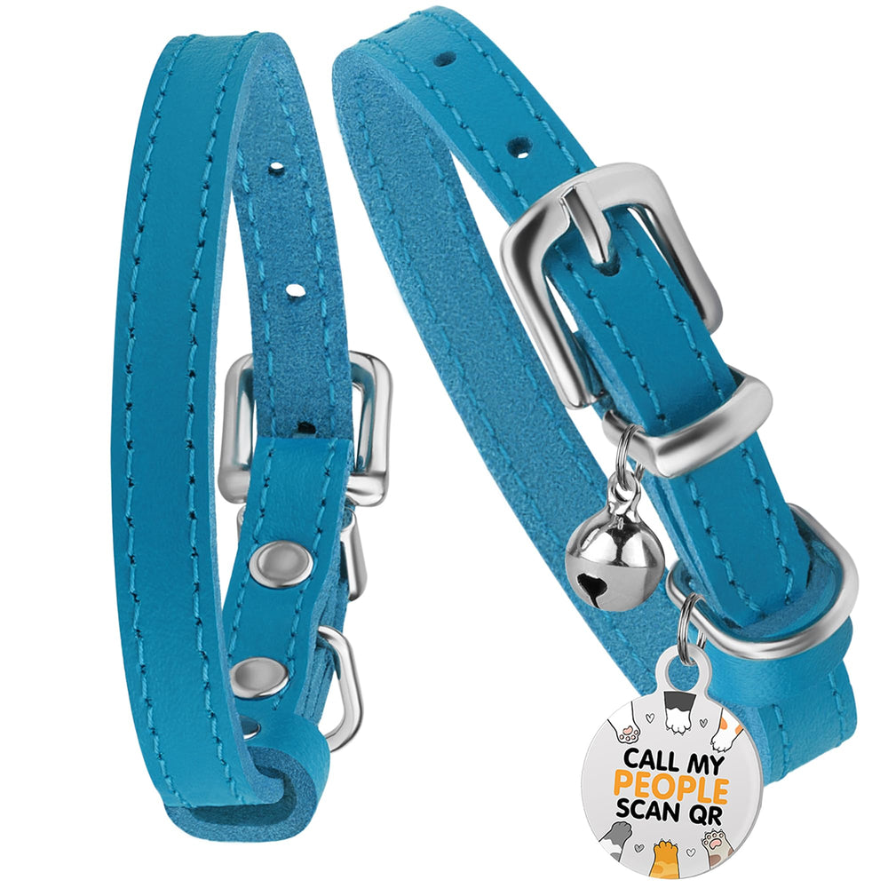 Uso diario en interiores con BRONZEDOG, collar seguro y elegante.