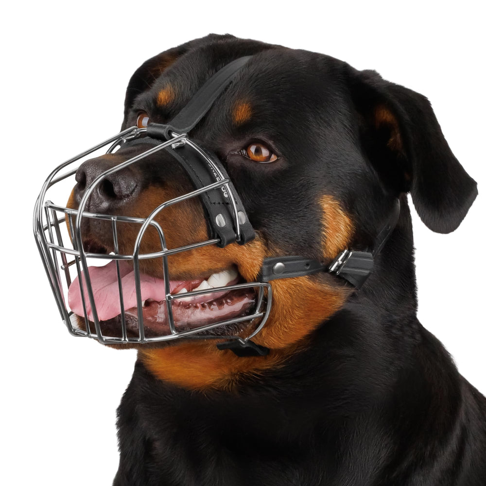 BRONZEDOG dog muzzle closeup shows genuine leather straps for durable fit and secure adjustment.