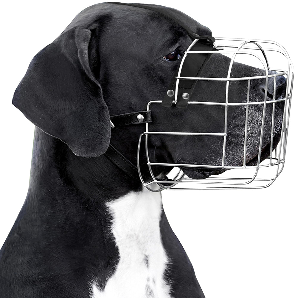 BRONZEDOG dog muzzle with leather straps offers comfortable, secure fit for large breeds during training.