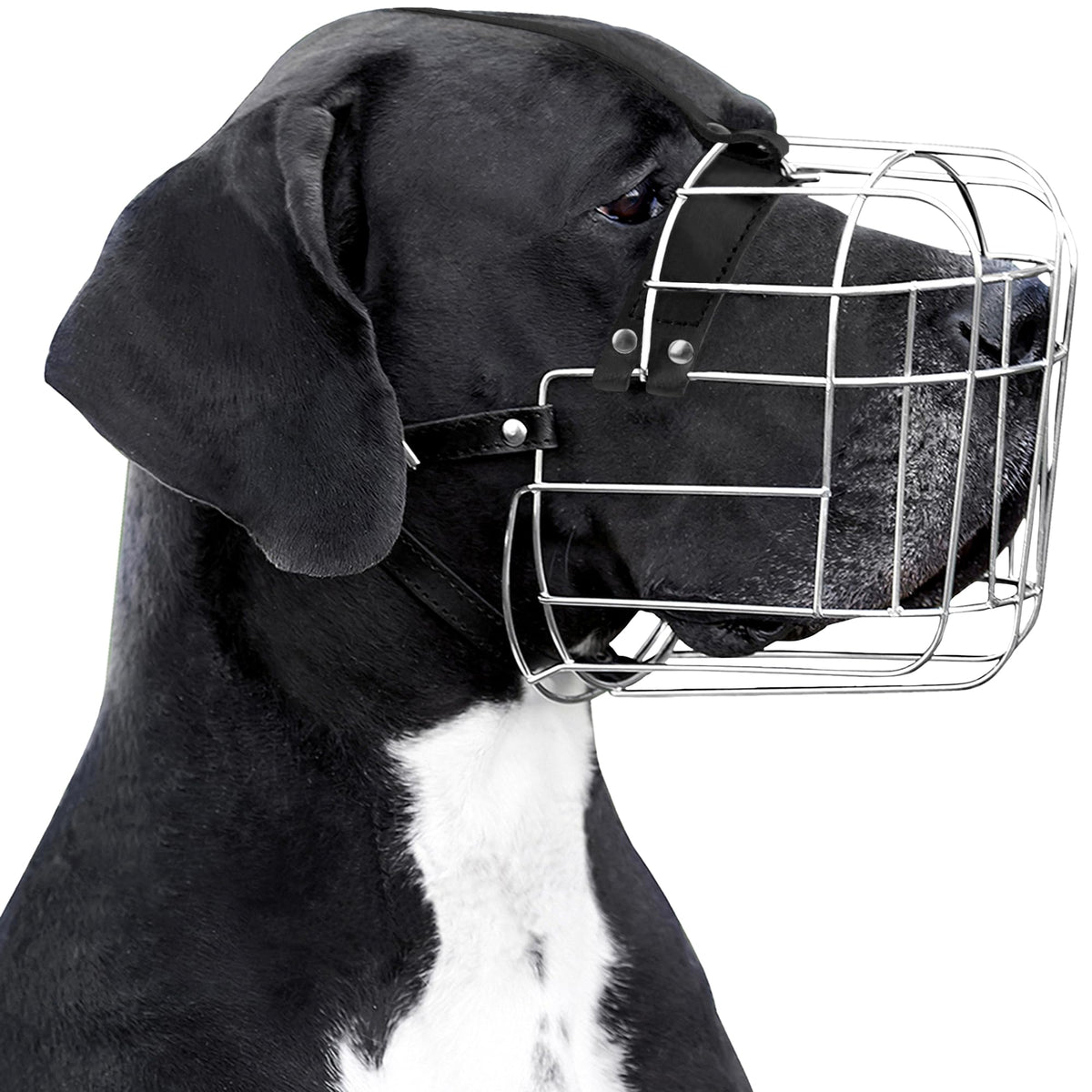 BRONZEDOG dog muzzle with leather straps offers comfortable, secure fit for large breeds during training.