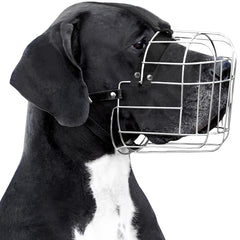 BRONZEDOG dog muzzle with leather straps offers comfortable, secure fit for large breeds during training.