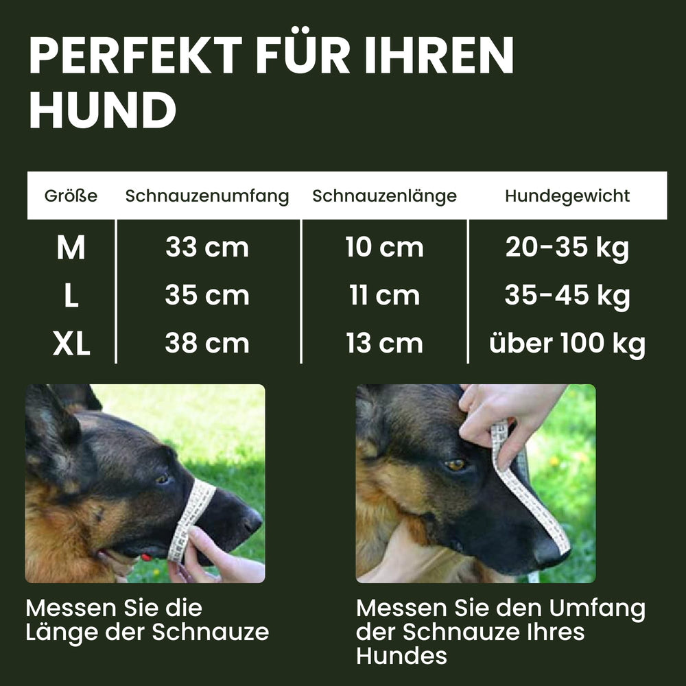 BRONZEDOG steel muzzle with nose padding protects while allowing easy breathing