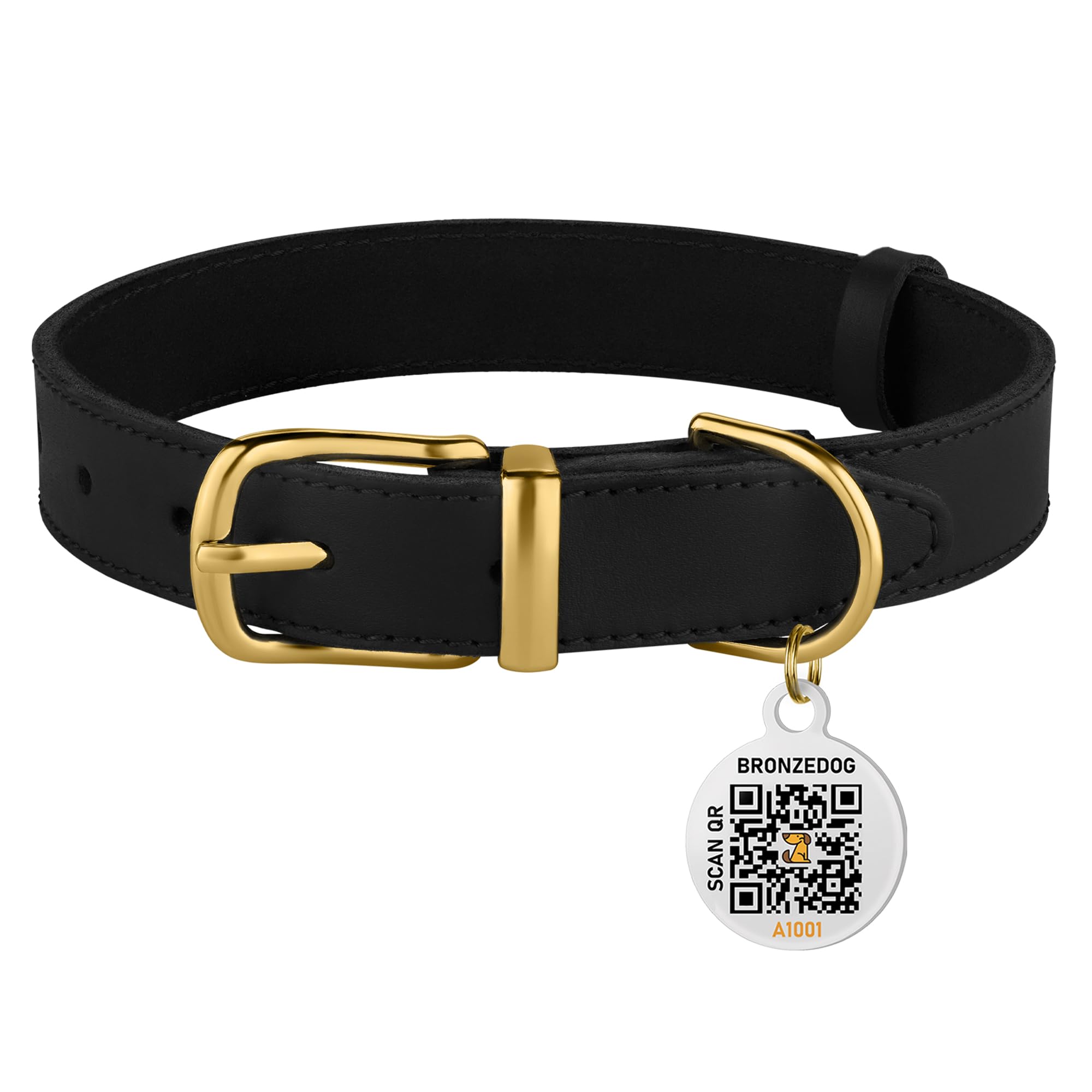 BRONZEDOG everyday-use collar shown in travel and training scenarios