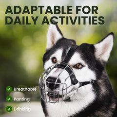 BRONZEDOG heavy-duty-buckles ensure secure fit during active use
